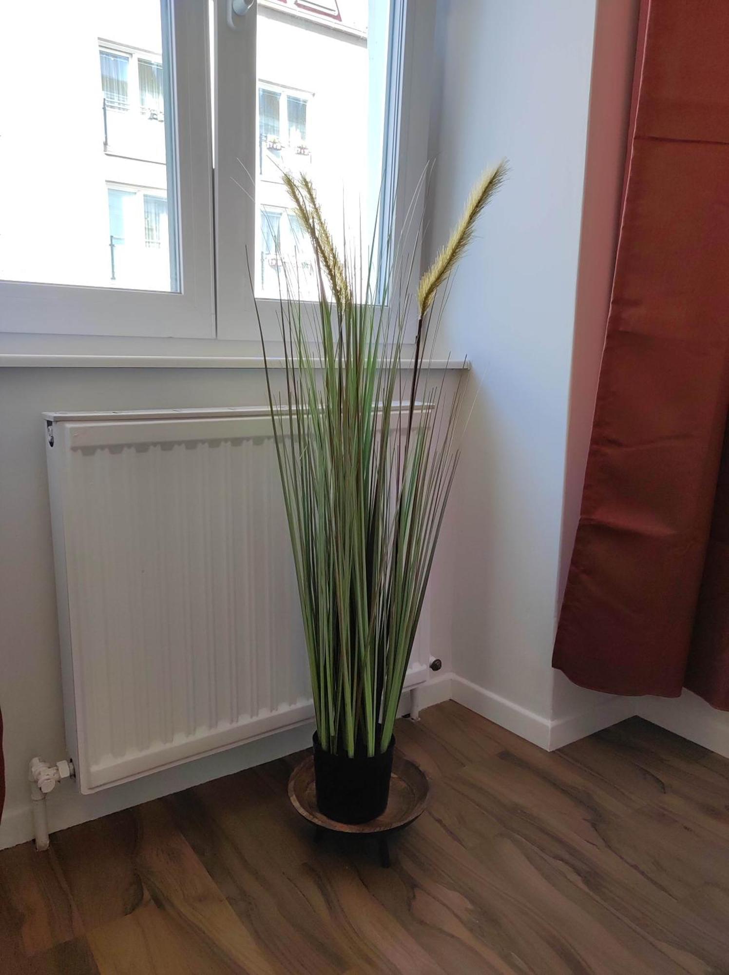 Apartamento Roksox-home Meidling Schloss Schoenbrunn Viena